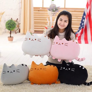 หมอนเจ้าแมวอ้วนพุชชีPusheen Cat