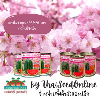 ADV กป 40กรัม แตงโมซากุระ 495/498 ตราตะวันต้นกล้า