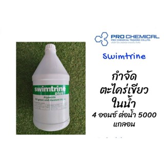 SWIMTRINE Plus+ น้ำยาป้องกันตะไคร่น้ำเขียว