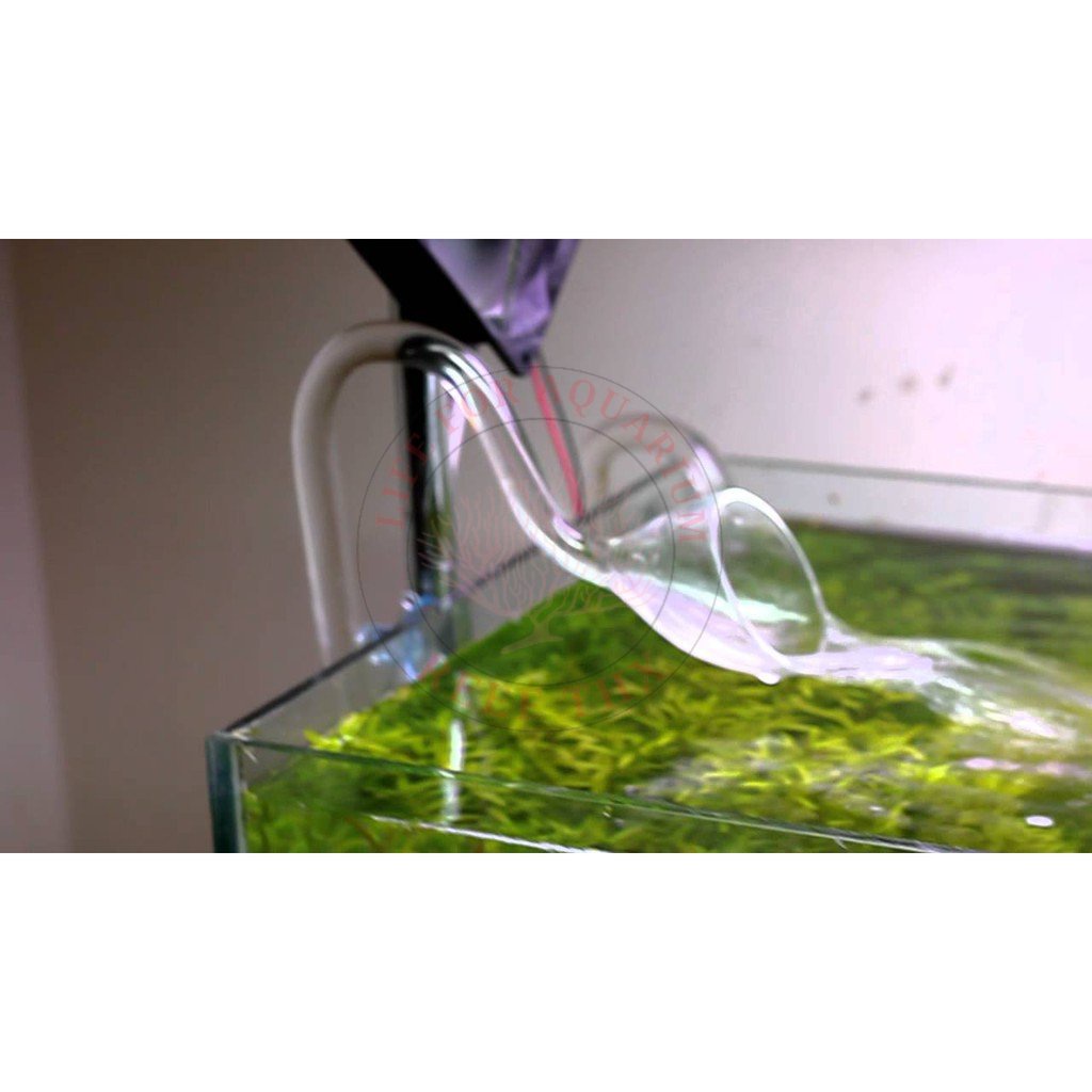 Glass Lilly Pipe outflow แก้ว 12mm 16mm เอ้าโฟลแก้ว เอ้าโฟล inflow outflow ลิลลี่ คุณภาพดี Reef Thx 