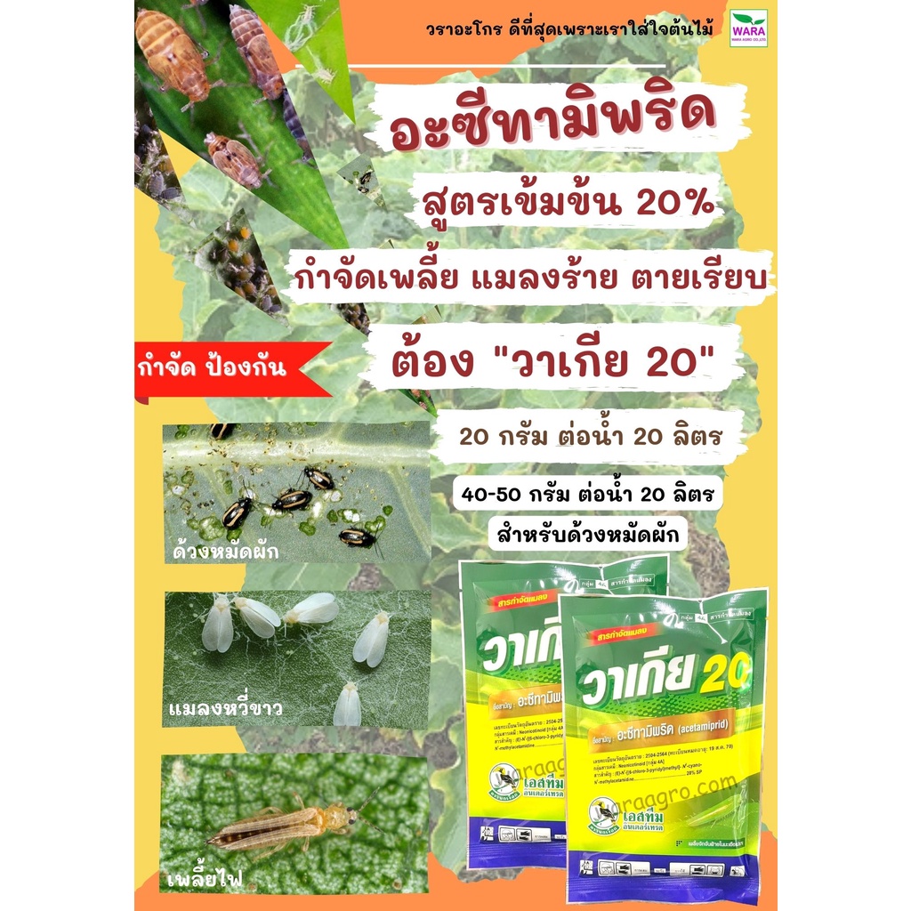ฆ่าด้วงหมัดผัก แมลงหวี่ขาว เพลี้ยอ่อน เพลี้ยไฟ ด้วงหมัดผัก เพลี้ยกระโดด หยุดใบหงิก ใบหด อะซีทามิพริด20 วาเกีย20
