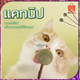 กัญชาบอล กัญชาแมว แคทนิป กัญชาเเมว ลูกบอลแคทนิป แคทนิป Catnip Ball แคทนิปบอล ของเล่นแมว เล่นสนุกเพลิดเพลินกว่าเดิม