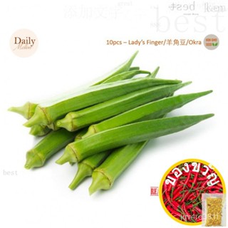 10ชิ้น Lady S Finger seeds/ Bene/okra Benih [SG สิงคโปร์] มักกะโรนี/เมล็ดพืช/ ทานตะวัน/กระโปรง/เซ็ตกระโปรง 74Q5