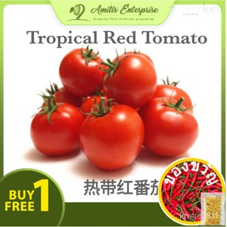 ซื้อ1ฟาดี1เซ็ตเล็ก20เพ้นท์ F1 4MGD