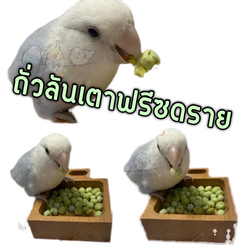 #ถั่วลันเตาฟรีซดราย
#ขนมนกแก้ว
#ของว่างสำหรับนก
#อาหารนกกรอบ
#ฟรีซดราย