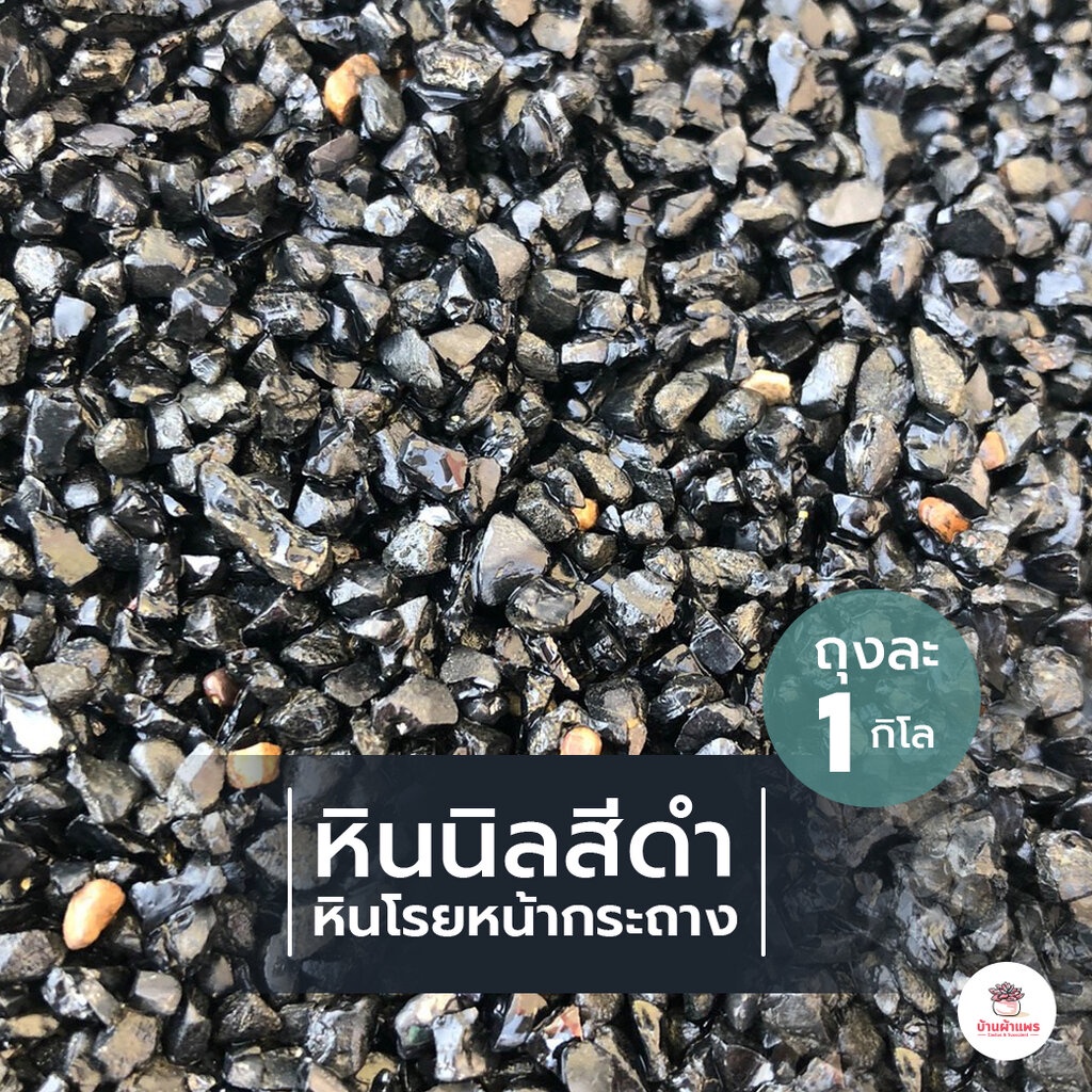[ 1 กก. ] หินนิลสีดำ หินโรยหน้ากระถาง แคคตัส กระบองเพชร ไม้อวบน้ำ