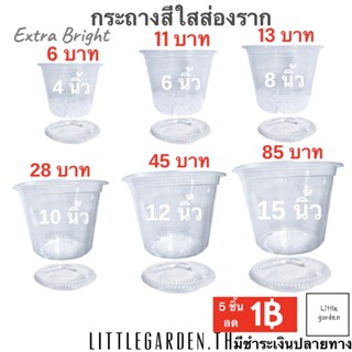 Little กระถางใสมองเห็นราก 4 นิ้ว 6 นิ้ว 8 นิ้ว 10 นิ้ว 12 นิ้ว 15 นิ้ว จานรองกระถางใส(ใสพิเศษ💎)