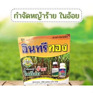 อินทรีย์ทอง กำจัดหญ่าร้ายในไร่อ้อย