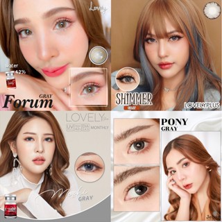 MYPINK 💕บิ๊กอาย สีเทา Bigeyes Gray Lovely Plus Contact Lens