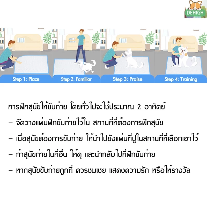 DEHIGH แผ่นรองฉี่สุนัข ช่วยฝึกขับถ่าย ซึมซับดี thumbnail 8