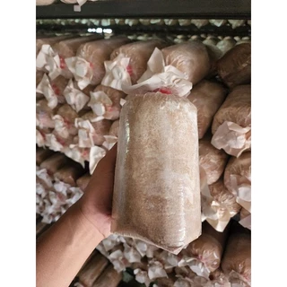 เชื้อเห็ดนางฟ้าภูฐาน แพค 10 ก้อน โปรโมชัน ร้อยเดียว พร้อมเปิดดอก พร้อมส่ง รับประกันออกดอก ไม่ออกเครมได้ พร้อมให้คำปรึกษา