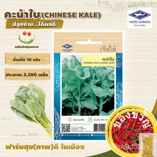 CHIATAI  ผักซอง เจียไต๋ คะน้าใบ O009 ประมาณ 2,260 เมล็ด คะน้า เมล็ดพันธุ์ผัก เมล็ดผัก เมล็ดพืช ผักสวนครัว L4UQ