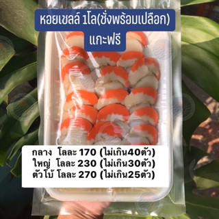 หอยเชลล์แกะเปลือกพร้อมทาน
