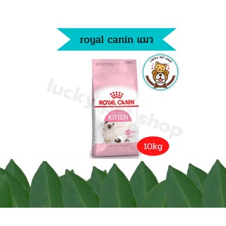 Royal Canin Kitten โรยัลคานิน อาหารเม็ดสำหรับลูกแมว 4 ถึง 12 เดือนขนาด10kg