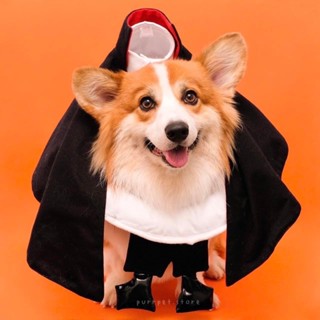 ชุดท่านเค้าท์ถอดหัวpurrpet Dogcula Halloween