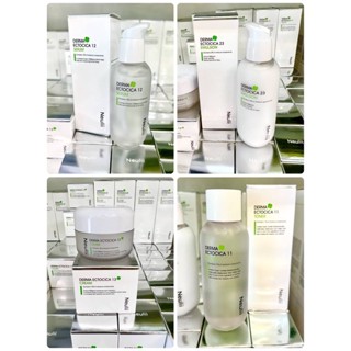 Derma ectocica 11,12,13,23