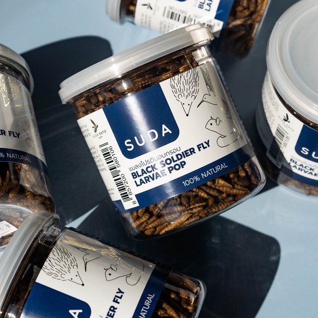 แมลงโปรตีนอบแห้ง หนอนอบแห้ง (Black Soldier Fly) อาหารสัตว์เล็ก เม่นแคระ หนูแฮมเตอร์ ชูการ์ไกรเดอร์ แพรี่ด็อก สุนัข