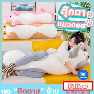 ⚡️ตุ๊กตาแมว ตุ๊กตานุ่มนิ่ม หมอนแมวกอด หมอนข้างแมว หมอนแมว (ขนาดใหญ่/ขนาดเล็ก ) ของขวัญสุดพิเศษ