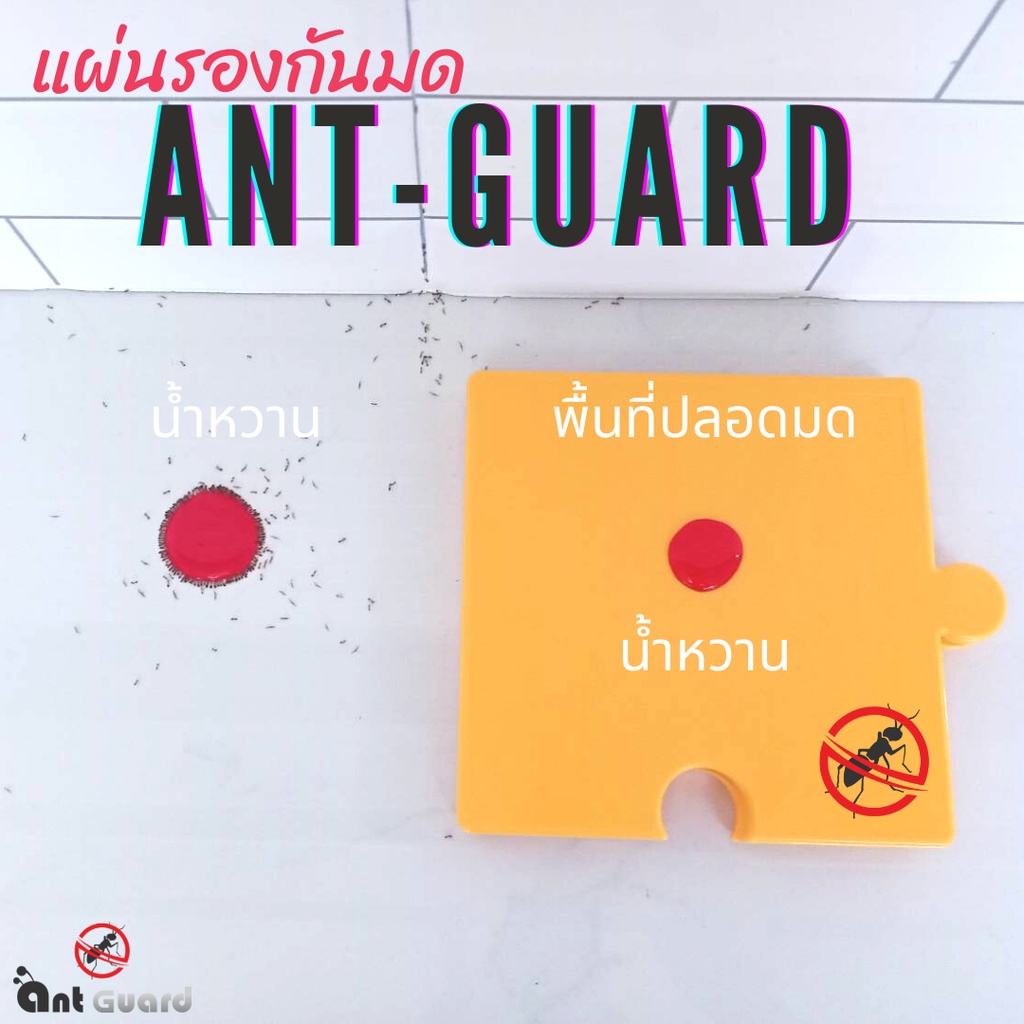 แผ่นรองกันมด ไล่มด AntGuard 1 Pcs. "บ้านไร้มด" ผลิตจากเครื่องสำอาง ไม่อันตรายต่อเด็กและสัตว์เลี้ยง