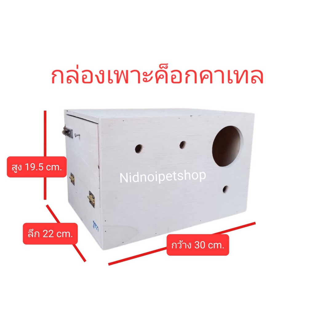 กล่องเพาะนก(กล่องค็อกคาเทล)รังเพาะนก กล่องนอน บ้านนก หงส์หยก เลิฟเบิร์ด ค็อกคาเทล ฟอพัส ราคาโรงงาน