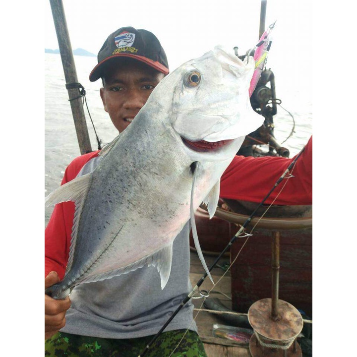 พู่แฟลชเรืองแสง TINSEL-UVL ใช้ประกอบเบ็ดจิ๊ก ซาบีกิ เรียกความสนใจของปลาได้ดี เรืองแสง - รูปที่ 2