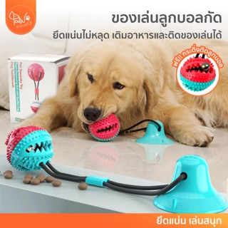 [🔥ลดแรง] PawSociety บอลกัด สำหรับสุนัข กระดิ่งติดลูกบอล ยึดติดพื้นได้ ของเล่นหมา เชือกกัด dog puller