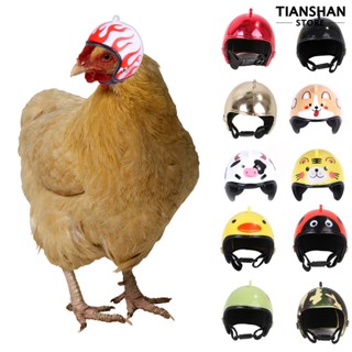 Tianshan หมวกกันน็อคนิรภัย ลายการ์ตูนไก่ สําหรับสัตว์เลี้ยง
