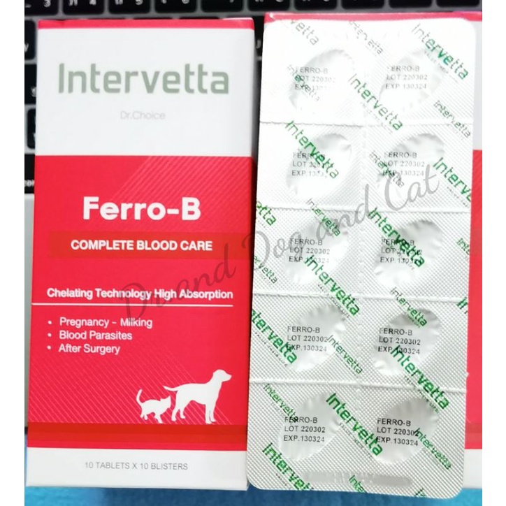 Dr.Choice Ferro B (Intervetta)วิตามินบำรุงเลือด ขนาด1แผง(10เม็ด) และ1 ...