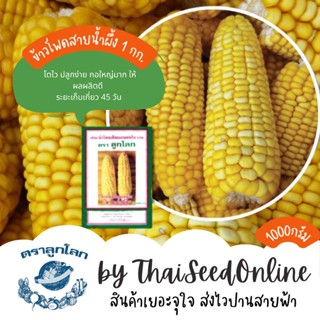 เมล็ดพันธุ์ ถุง 1 กก. ข้าวโพด ข้าวเหนียว สายน้ำผึ้ง เทียนเหลือง ตราลูกโลก Corn