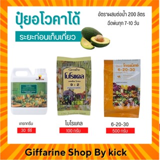 [ส่งฟรี] ปุ๋ยอโวคาโด้ ปุ๋ย กิฟฟารีน ปุ๋ยทางใบ ระยะก่อนเก็บเกี่ยว Giffarine