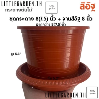 Little กระถางสีอิฐ 6 นิ้ว 8(7.5”) นิ้ว 10 นิ้ว 12 นิ้ว 13.5 นิ้ว(สีอิฐA+🧱)กระถางปลูกดอกไม้ กระถางปลูกกุหลาบ🌹