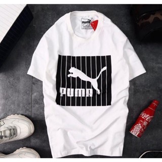 เสื้อยืด ผ้าฝ้าย พิมพ์ลาย Pma CASUAL SPORT DTF BRANDED สําหรับผู้ชาย
