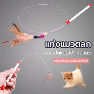 ไม้ตกแมว ไม้แหย่แมว ของเล่นแมว cat toy ไม้ล่อแมว ไม้ตกแมว แบ…