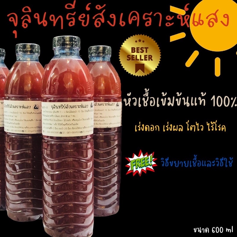 จุลินทรีย์สังเคราะห์แสง เร่งดอก เร่งผล โตไว ขนาด 600ml