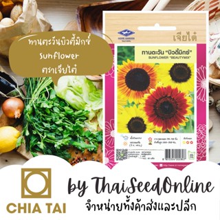 CTFW เมล็ดพันธุ์ ทานตะวันบิวตี้มิกซ์ ตราเจียไต๋ Sunflower Beauty Mix เมล็ดดอกไม้