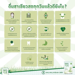 ชาเขียวชงเย็นเชคกุ เชคกุ แพ็ค 6 ถุง Green Tea Bag (No Sugar)