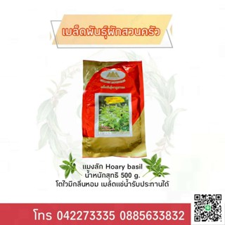 เมล็ดพันธุ์แมงลัก Hoary basil