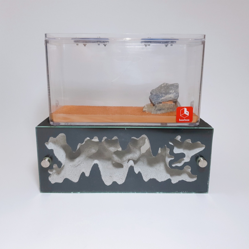 Handcrafted Ancient Flowstone Formicarium - Ant Keeping Ant Farm Ant Nest Ant Formicarium Ant Cages 