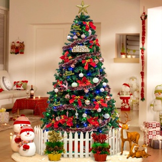 [พร้อมส่ง]Christmas ต้นคริสต์มาสมี หนาพิเศษ ต้นคริสมาส ขนาด 4-7 ฟุต Christmas Tree Jersey 4-7F