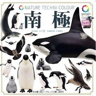 (เพิ่มนกพร้อมส่ง) กาชาปองเพนกวินฐานไม้ Gashapon Nature Techni Colour Kitan Club Antarctic โมเดลสัตว์