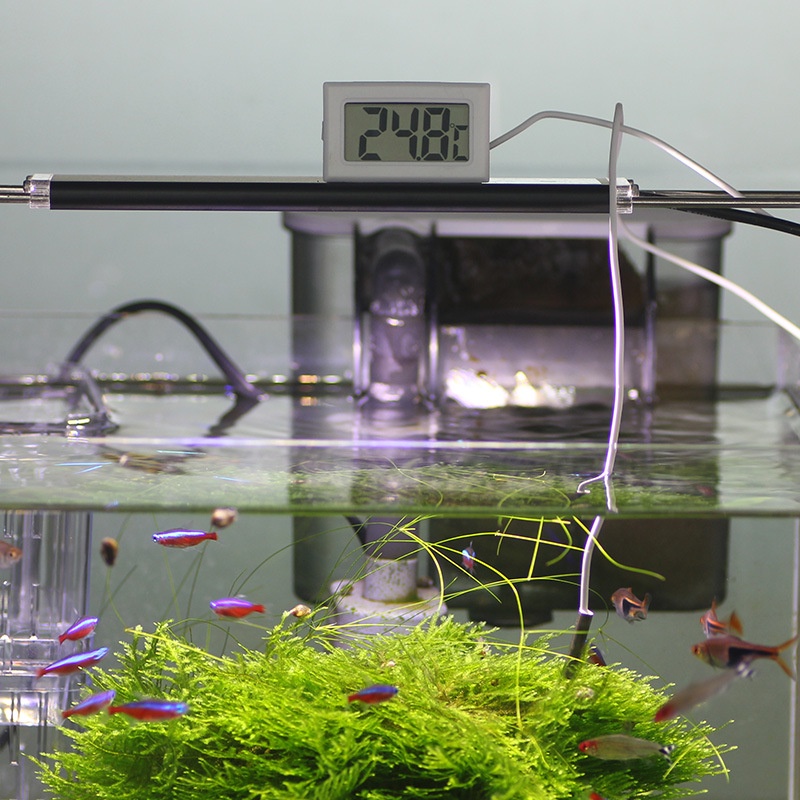 All About Pet เทอร์โมมิเตอร์ดิจิตอล พร้อมสายเซ็นเซอร์วัดอุณหภูมิ  ที่วัดอุณหภูมิ ที่วัดอุณหภูมิน้ำ ของเหลว อากาศ - รูปที่ 4