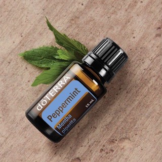 doTERRA Peppermint เปปเปอร์มินต์ 15ml สมุนไพรสดชื่น ปรับอารมณ์ อากาศปลอดโปร่ง ช่วยให้ตื่นตัว เพิ่มโฟกัส จูงใจให้ทำงานสำเ