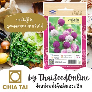 CTFW เมล็ดพันธุ์ดอกไม้ บานไม่รู้โรยคละสี ตราเจียไต๋ Gomphrena เมล็ดดอกไม้