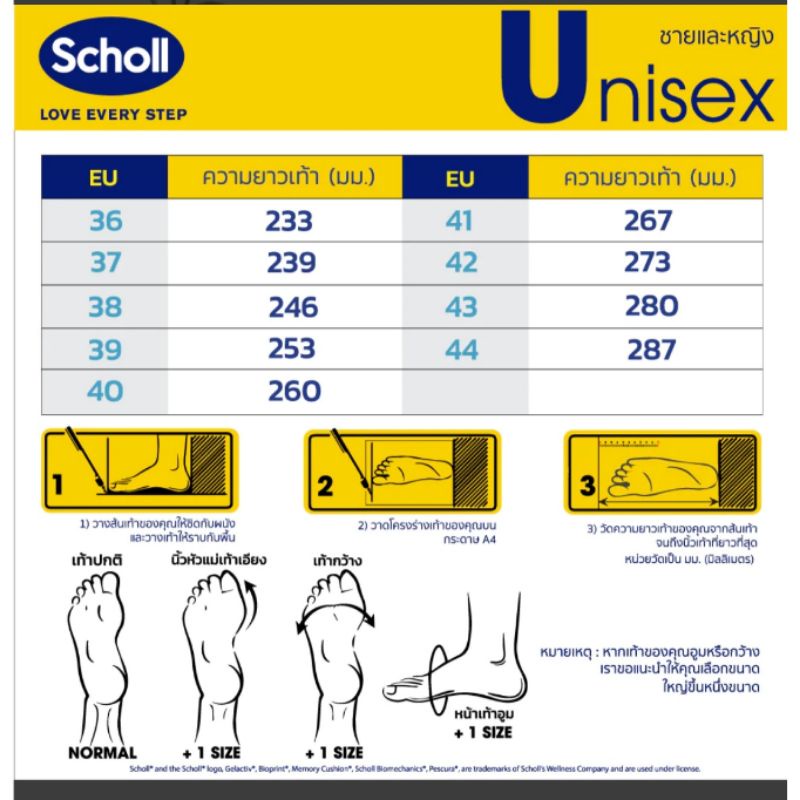 Scholl Zest รองเท้าสกอลล์รุ่นเซสท์ รัดส้น