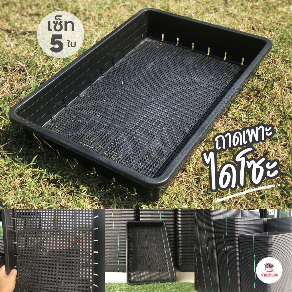 [ 5 ใบ ] ถาดไดโซะ ถาดเพาะ ตะกร้าปลูกผัก ตะกร้าดำ