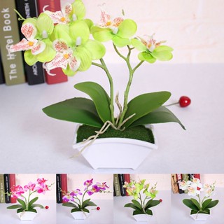 【AG】Fake Phalaenopsis Flower Bonsai Lifelike Unique Portable Real Touch Flower for Party