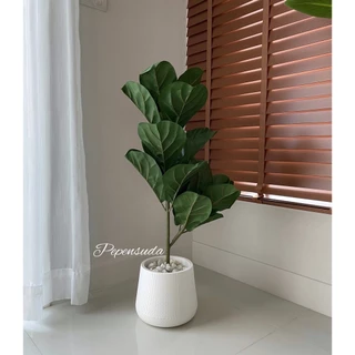 [ออกใบกำกับภาษีได้](ไม่มีขาตั้ง)🍃ต้นไม้เสมือนจริง สูง 85 ซม. พร้อมกระถางมินิมอล 7 นิ้ว (ฟรี!!หิน)