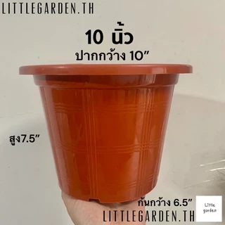 Little กระถางพลาสติก 10 นิ้ว (สีดำเงาA+🖤) (สีขาวออร่าA+🤍)(สีอิฐ🧱)(สีใสA+💎)