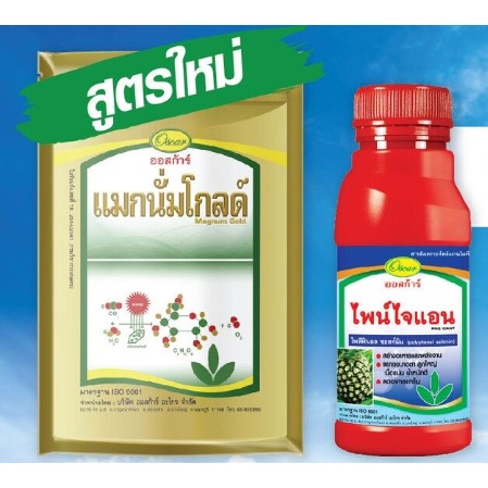 ปุ๋ยทางใบ ชุดเร่งลูก แมกนั่มไพน์ ประกอบด้วย แมกนั่มโกลด์ 1 กก.+ไพน์ไจแอนด์ 500cc