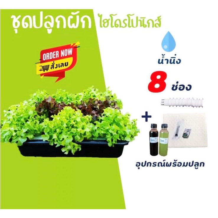 [กระบะ-8ช่อง]ชุดปลูกผักไฮโดรโปรนิกส์  น้ำนิ่ง รุ่น8ช่อง